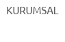 Kurumsal